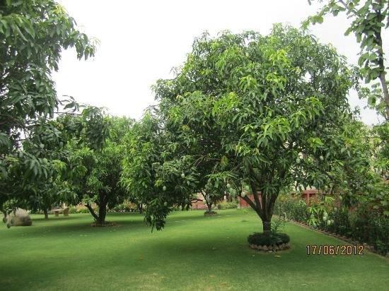 Jim Corbett Resort Rāmnagar Buitenkant foto